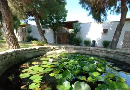 Villaggio Albatros - 44