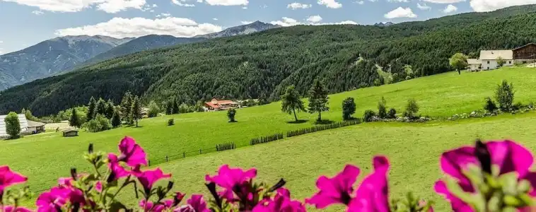 SONNENBERG | Panorama Dolomites Wellbeing - 36
