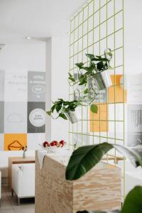 The Pure, a Member of Designs - 6