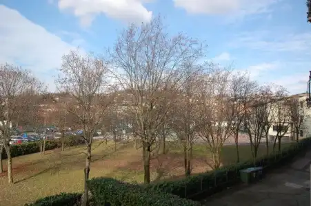 La Rosa Scarlatta Broseta - 53