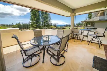 Kapalua Villas Maui - 298