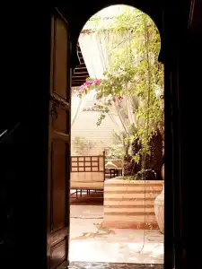 Riad ILayka - 37