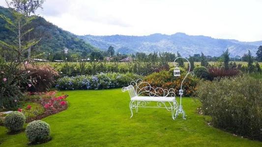 The Focus Khaoyai Resort - 34