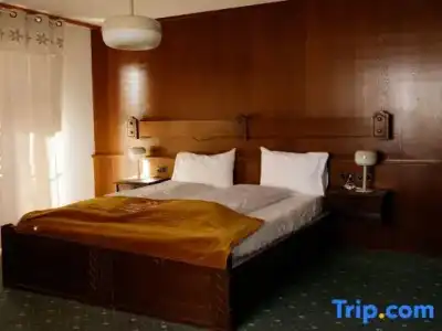 Grichting & Serviced Apartments - 52