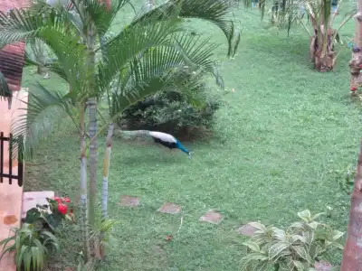 Beach Lagoon Guesthouse - 74
