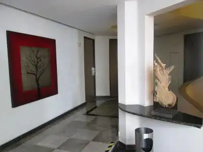 Holiday Inn Express Ciudad De Mexico Condesa by IHG - 14