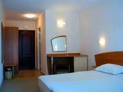 Paloma - 4