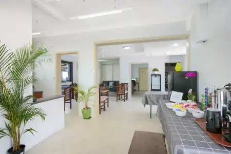 Cairns City Palms - 21