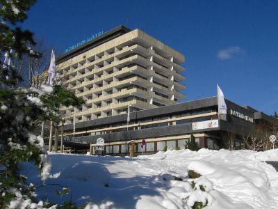 Ahorn Harz Braunlage - 0