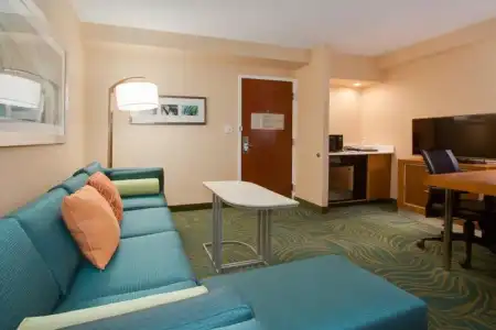 SpringHill Suites by Marriott Orlando Lake Buena Vista South - 27