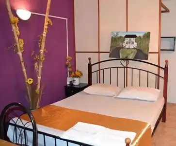 Residence les Bambous - 56