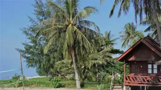 Morning Star Resort - 79