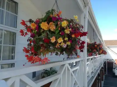 Ashleigh Court Motel - 12