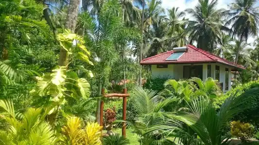 Good Karma Ayurvedic Resort - 25