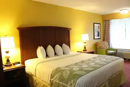 Rosen Inn International - 4