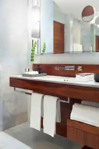 Las Alcobas, a Luxury Collection, Mexico City - 30