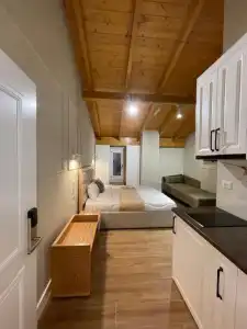 Arial Penthouse Suites - 97