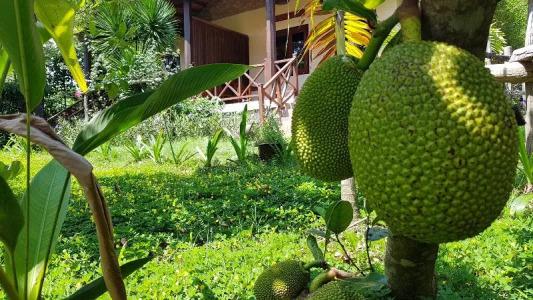 Phu Quoc Eco Beach Resort - 65