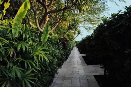 The Standard Spa Miami Beach - 28