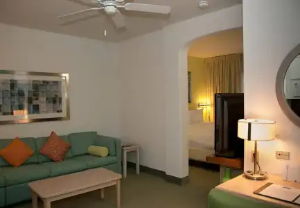 Springhill Suites By Marriott Las Cruces - 21