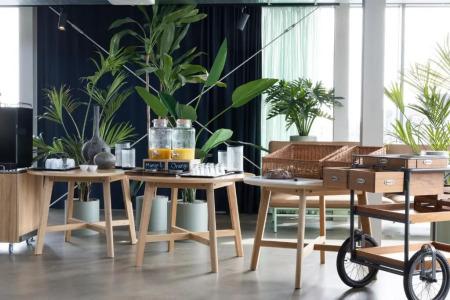 BaseCamp Student - 10