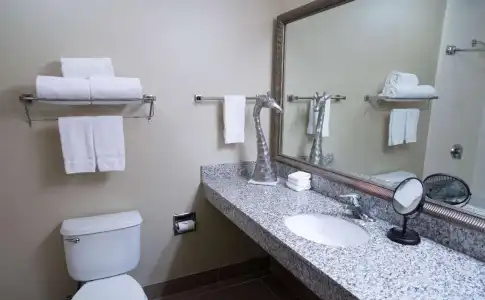 Comfort Inn at the Zoo - 8
