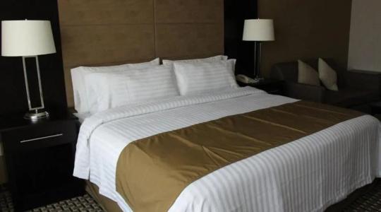 Holiday Inn México Santa Fe by IHG - 25