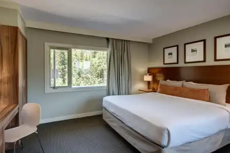 The Juniper - 29