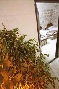 Dara Konagı - 26