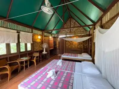 Our Jungle Camp - Eco Resort - 55