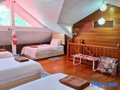 Alpha Resort & Spa - 56