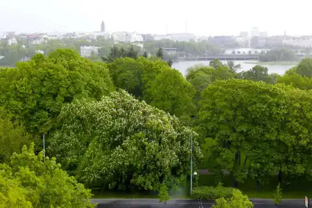 Scandic Park - 21