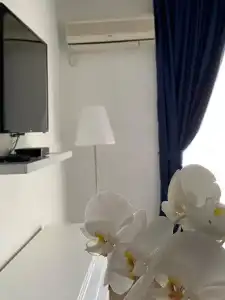 Apartments Venera - 61