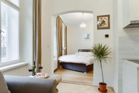 Prague Siesta Apartments - 99