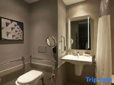 Pullman Sao Paulo Ibirapuera - 85