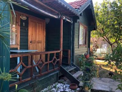Turkuaz Bungalows - 38