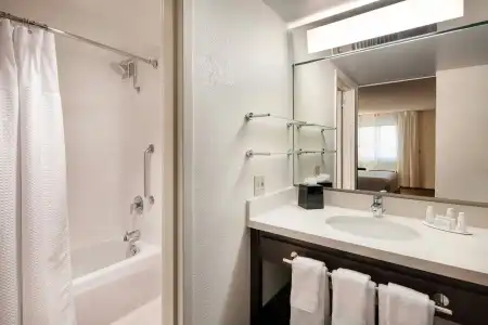 Fairfield by Marriott Anaheim Resort - 8