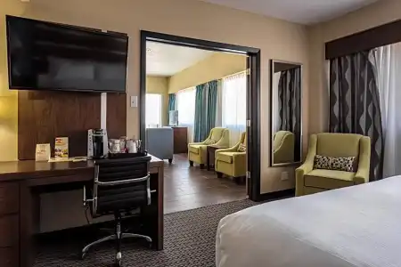 Holiday Inn Houston Downtown by IHG - 60