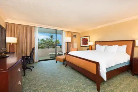 Hilton Waikoloa Village - 305