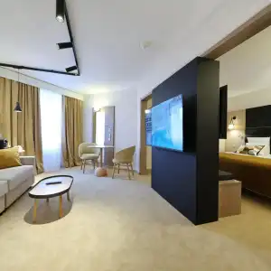 Mercure Grenoble Centre Porte des Alpes - 47