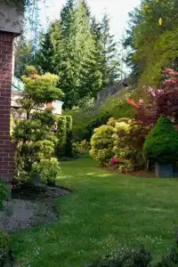 The Grand Nanaimo - 1