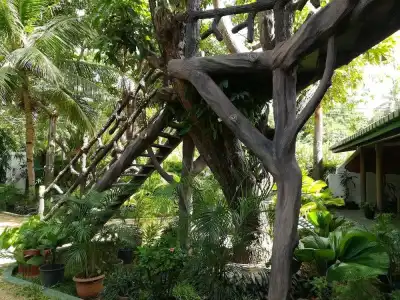 The Nature Park Villa - 33