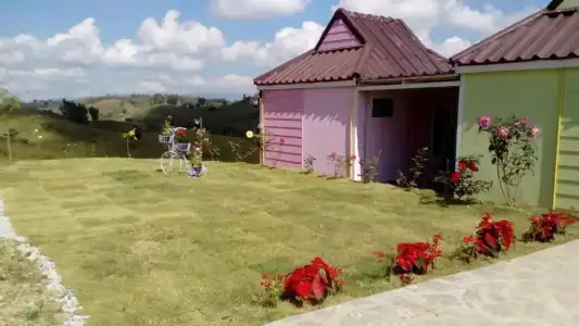 Lovely Farm - 46