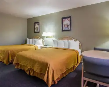 Lux Verde - 5