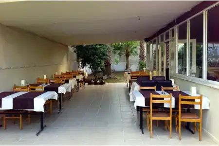 Serin - 8