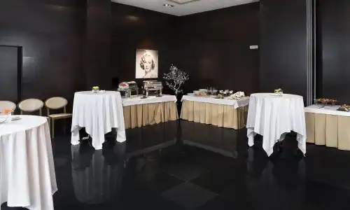 Hesperia Bilbao - 15