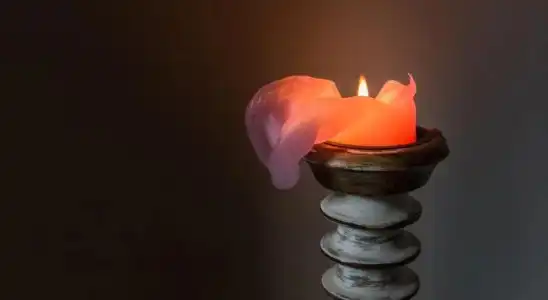 Pension Waldhäusl - 18