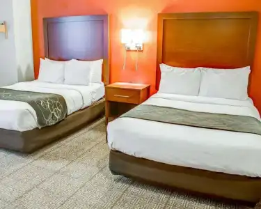 Comfort Suites Tyler South - 29