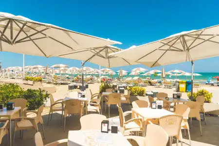 Club Del Sole Stork Family Collection - 22