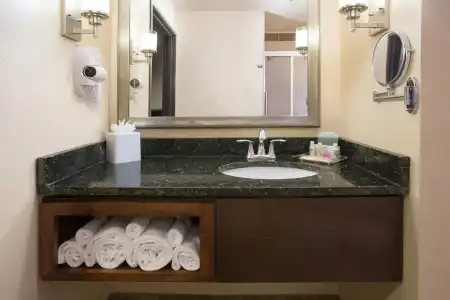 Holiday Inn & Suites Durango Downtown by IHG - 8